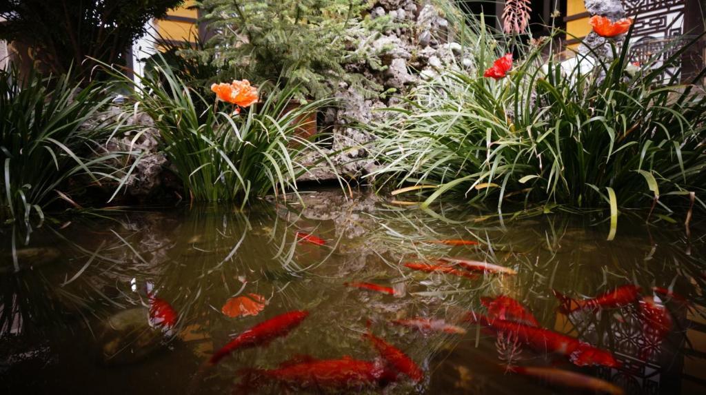 Lijiang Wangjia Courtyard Inn Екстериор снимка